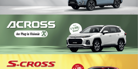 Suzuki - Sommer-Leasing-Aktion