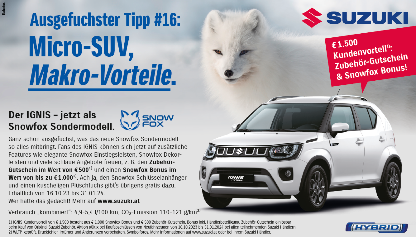 🚗 SNOWFOX Einfach ausgefuchst