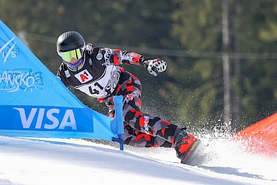 &copy; Joachim Gravogl