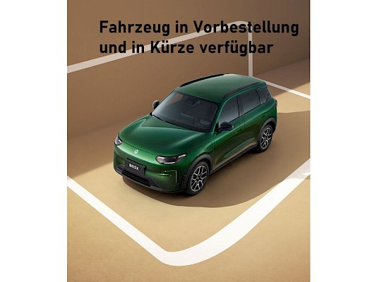 Leapmotor - B03X Elektro 53kWh Design Pro Max
