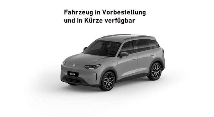 Leapmotor - B03X Elektro 53kWh Design Pro Max