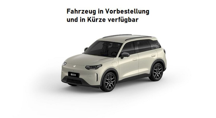 Leapmotor - B03X Elektro 53kWh Design Pro Max